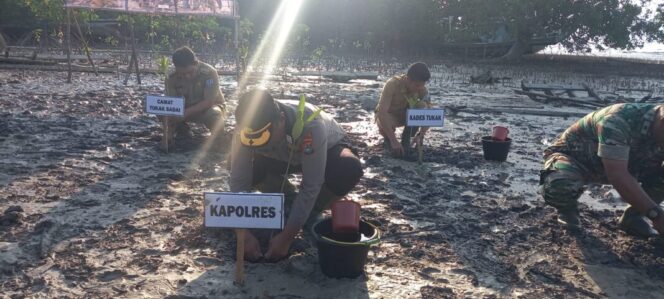 
 Kapolres Basel Ikut Tanam Mangrove Nasional Secara Serentak Bersama Jajaran TNI