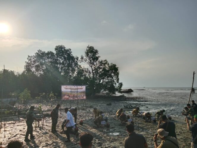 
 Tanam 1000 Mangrove, Kasdim 0432 Basel Ajak Masyarakat Menjaga dan Merawat Mangrove yang Ditanam