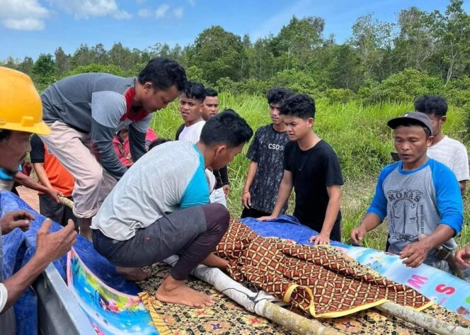 
 IRT di Bangka Selatan Meninggal Dunia Diterkam Buaya Saat Menjaring Ikan Bersama Suami