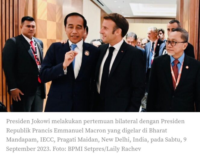 
 Presiden Jokowi Apresiasi Investasi Prancil Pada Sektor Strategis di Indonesia