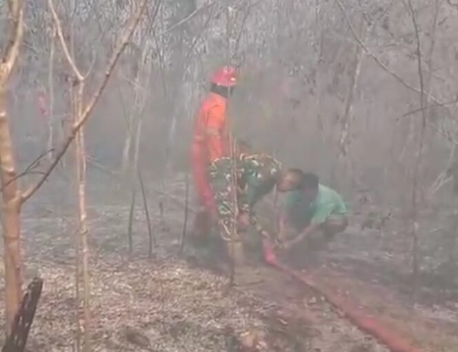 
 Babinsa Kodim 0432 Basel Bersama Damkar Padamkan Api di Hutan dan Lahan Perkebunan Warga