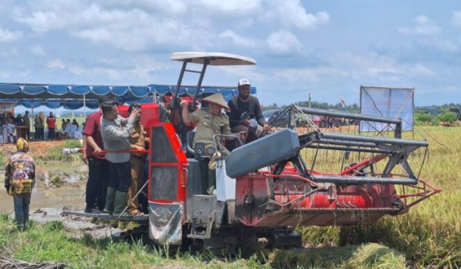 
 Pemkab Bangka Selatan Optimis Tingkatkan Produktivitas Pertanian