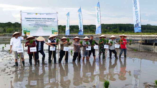
 Penanaman perdana padi demplot program makmur agrosolution di area persawahan Gapoktan Dungun Raya Desa Batubetumpang Kecamatan Pulau Besar Kabupaten Bangka Selatan, Sabtu 10 Mei 2025. (Foto: babeltimes.co/Arul)
