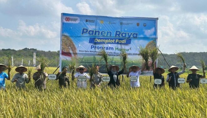 
 Wabup Debby Panen Raya Padi Program Makmur di Desa Batubetumpang