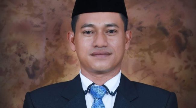 Ketua Komisi II DPRD Bangka Selatan Hendri. (Foto: babeltimes.co/ist)